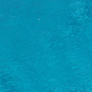 Meet your Posher, Riccardo